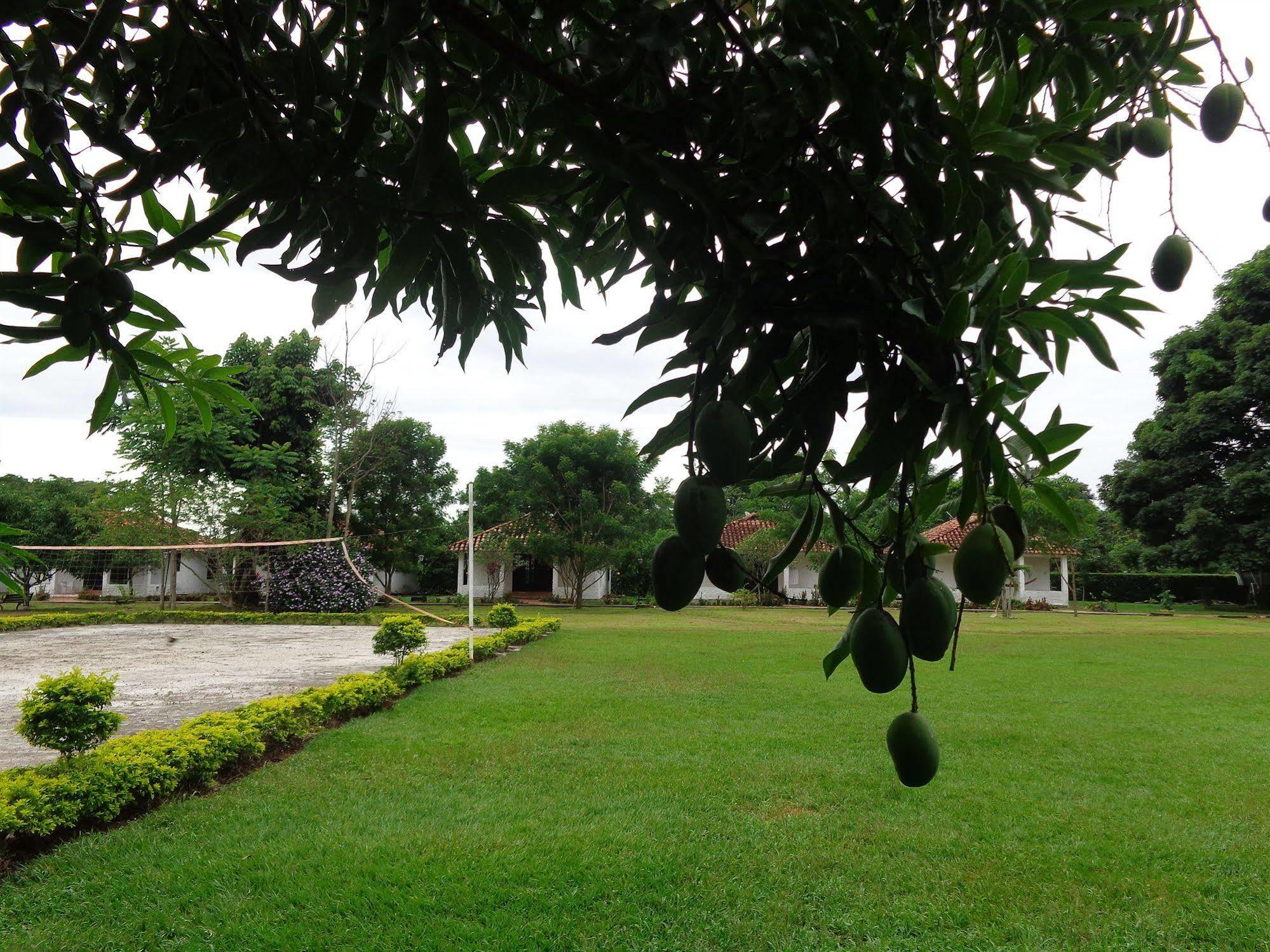 Hotel Campestre Arboretto Villavicencio Exterior photo