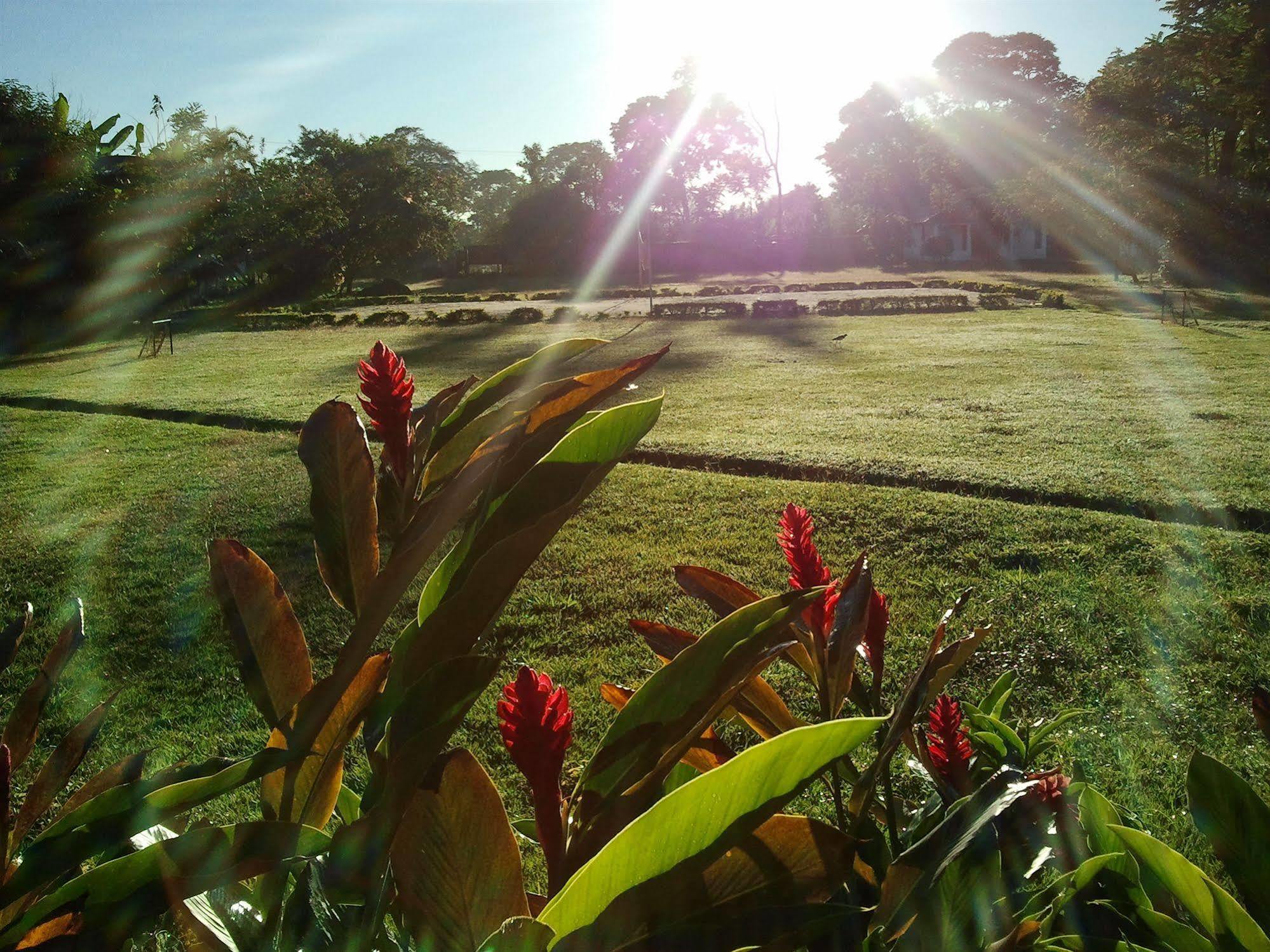 Hotel Campestre Arboretto Villavicencio Exterior photo